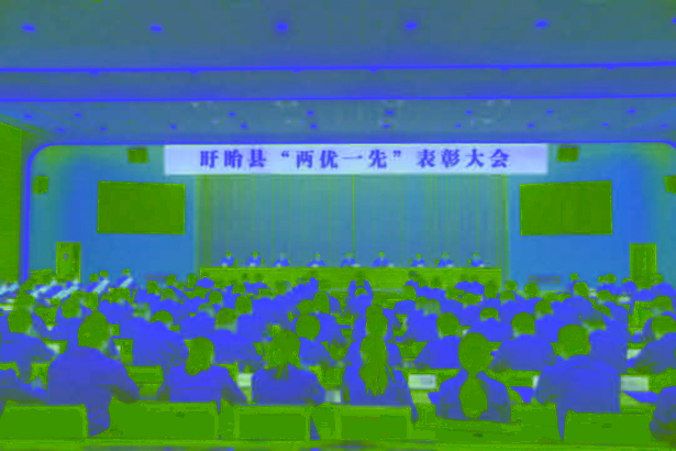 20260702全縣“兩優一先”表彰大會召開.jpg
